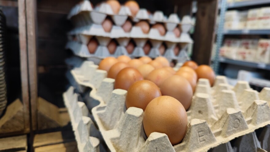 S tržišta se zbog salmonele povlače konzumna jaja domaćeg proizvođača