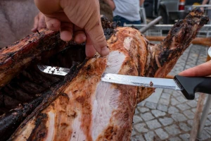 Otišli na seosku slavu, pa završili u bolnici: Moguće trovanje pečenjem?
