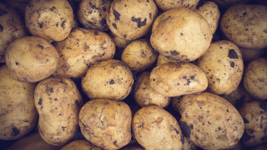 Čuvanje krumpira kroz zimu