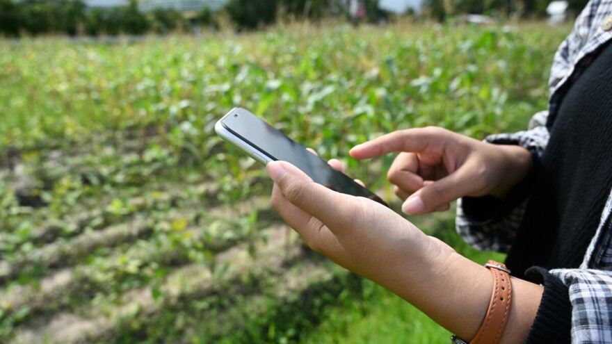 Jeste li popunili evidencije o proizvodnji i prodaji te uslugama s OPG-a i SOPG-a?