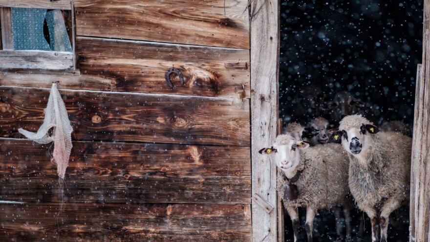 Očekuje se svakodnevna pojava mraza, ponegdje jačeg intenziteta