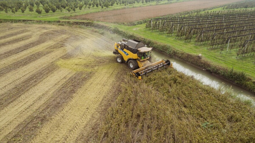 Povoljno vrijeme ubrzalo sjetvu i žetvu u Evropi, ali zabrinjava višak padavina i suša