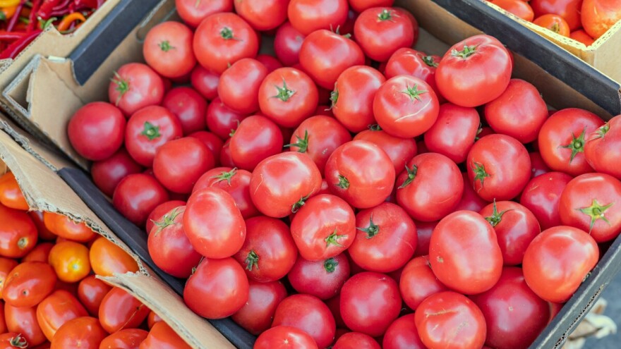 Različite mogućnosti uzgoja rajčice