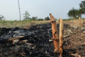 Oprezno s čišćenjem parcela: Ništa ne palite, kazne su visoke!