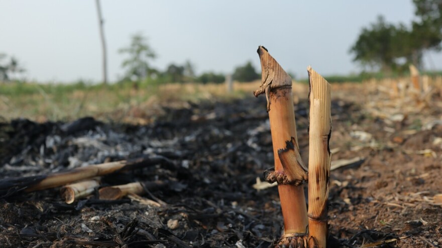Oprezno s čišćenjem parcela: Ništa ne palite, kazne su visoke!