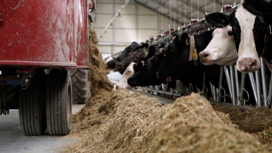 Objavljena konačna rang lista zahteva za IPARD podsticaje - odobreno 70 projekata