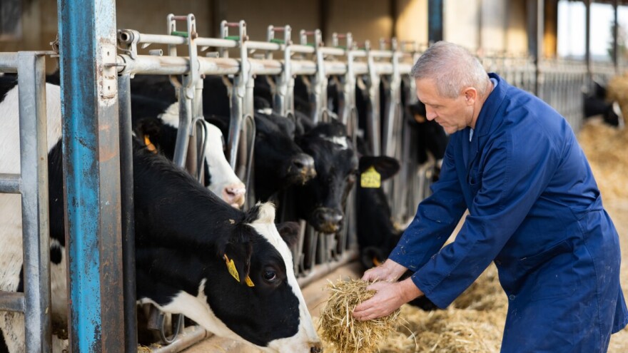 Za mere odgajivačkog programa u Vojvodini opredeljeno 40 miliona dinara