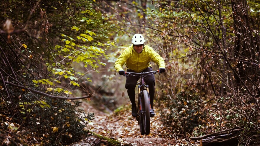 Sud presudio: Vlasnik šume ne smije zabraniti bicikliranje na šumskim putovima