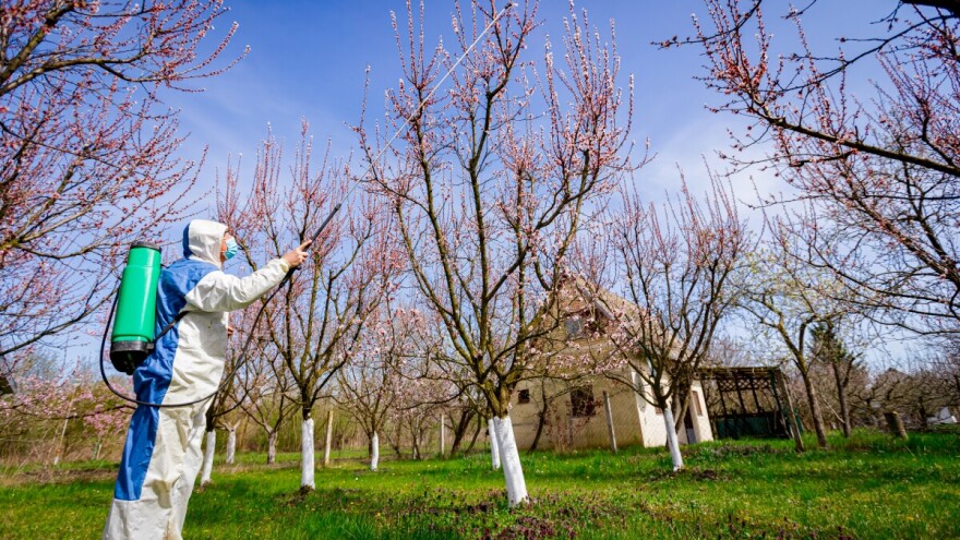 Preporuke voćarima: Ovim sredstvima sada tretirajte voćke, u osjetljivoj su fenofazi