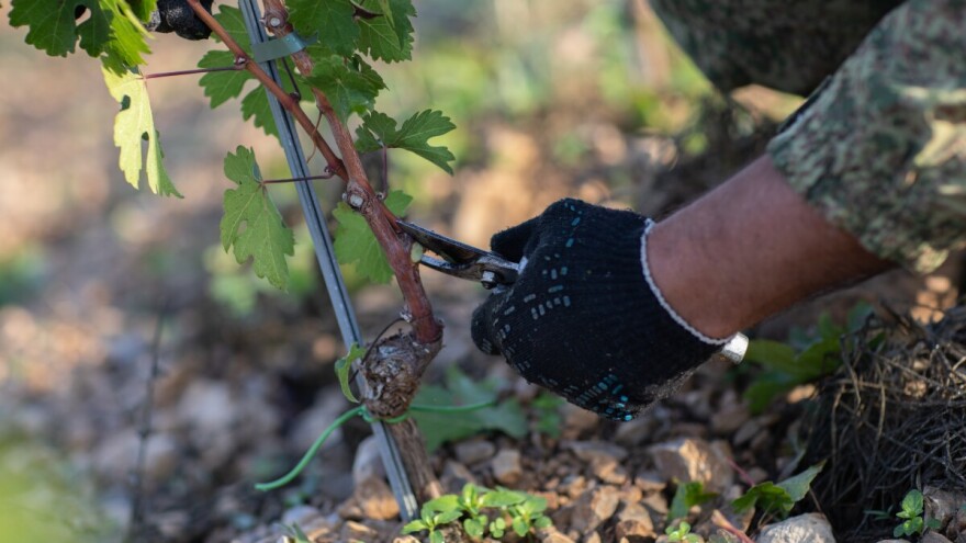 Tko koliko radi u poljoprivredi?