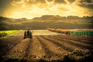 Svako je odgovoran za svoje parcele: Kako podnosite klimatske promjene?
