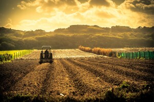 Svako je odgovoran za svoje parcele: Kako podnosite klimatske promjene?