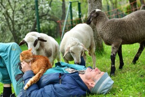Muljanje od polja do stola: Službena o(ne)sviještenost
