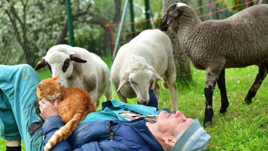 Muljanje od polja do stola: Službena o(ne)sviještenost