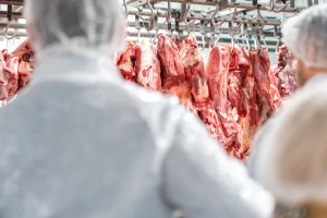 Pojačana kontrola bezbednosti hrane uoči praznika
