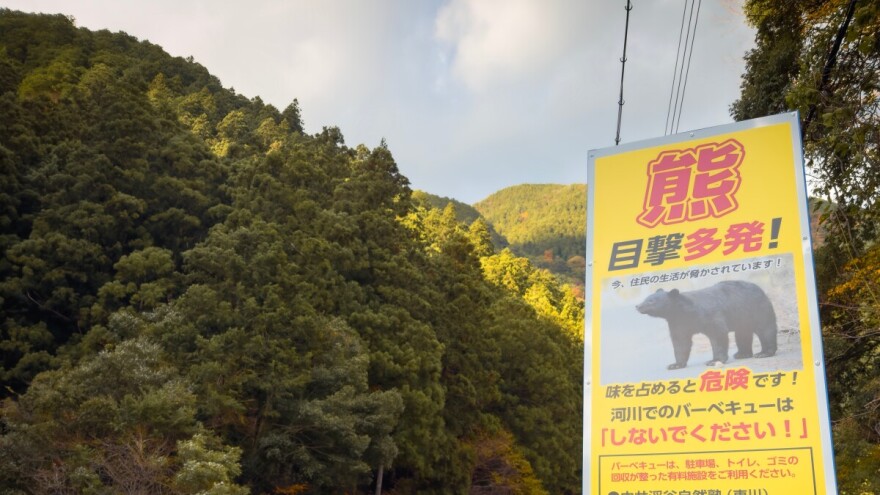 U Japanu jedu medvjede, nacionalna prijetnja koja završava na tanjuru