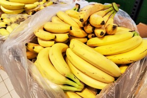 Pesticidi nadmašili granice: Zabranjen uvoz banana iz Kostarike u BiH