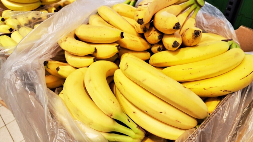 Pesticidi nadmašili granice: Zabranjen uvoz banana iz Kostarike u BiH