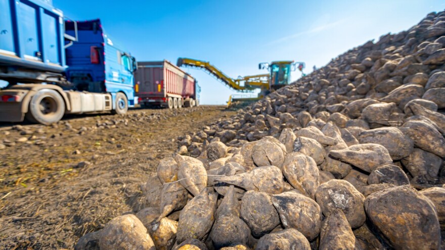 EU će zaustaviti uvoz sirovog šećera kako bi zaštitila domaće proizvođače?