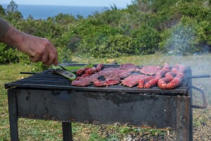 Oprezno kada palite roštilj u šumi - gde je dozvoljeno?