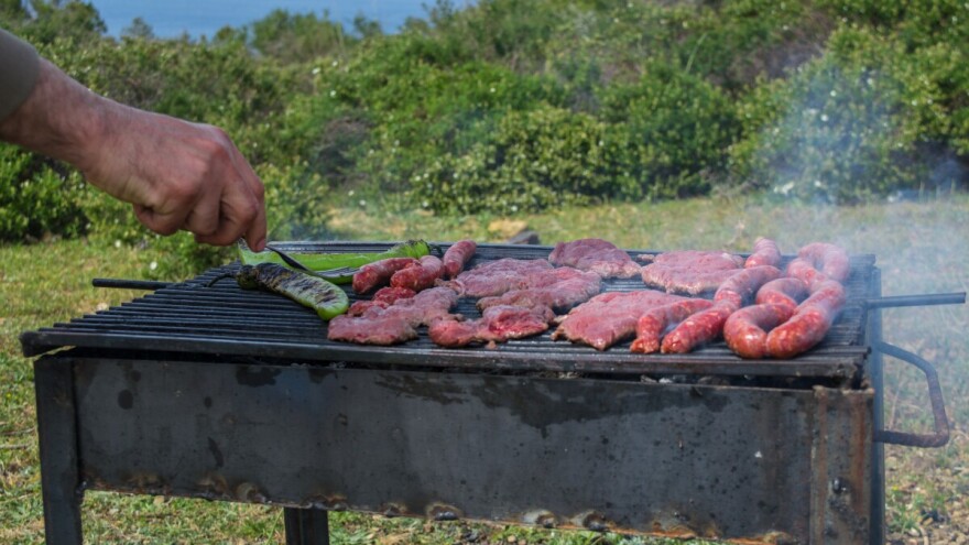 Oprezno kada palite roštilj u šumi - gde je dozvoljeno?