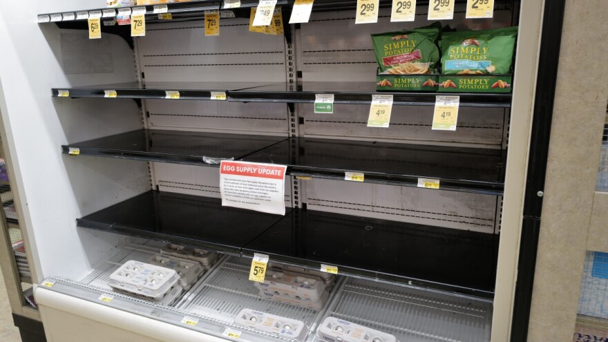 SAD u potrazi za jajima: Zemlje EU odbile da izvezu, cveta krijumčarenje iz Meksika