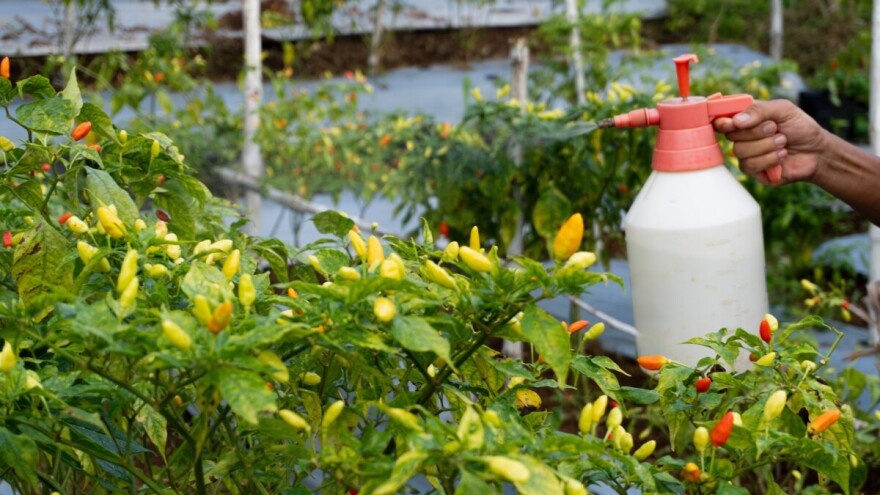 Pesticidi pod nadzorom: BiH aktivira dvogodišnji plan kontrole hrane