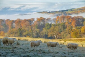 Prve novembarske padavine neće potrajati: Evo detaljne sedmične prognoze