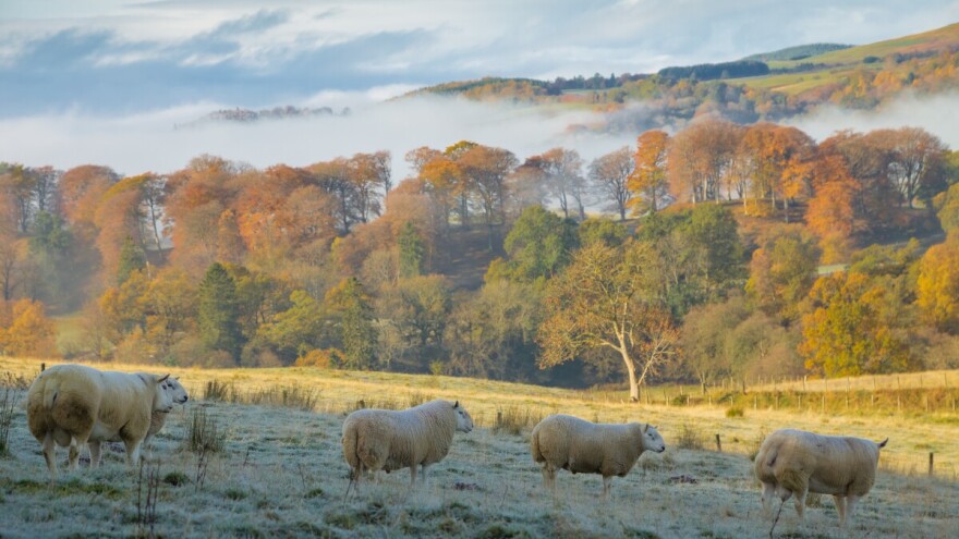 Prve novembarske padavine neće potrajati: Evo detaljne sedmične prognoze