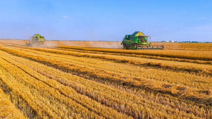 Zaključeni prvi SPOT ugovori za novi rod pšenice. A cena?