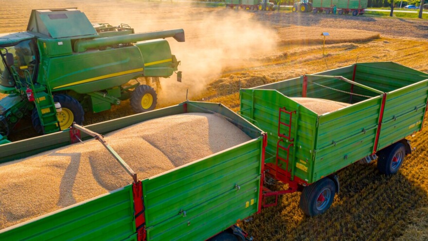 Počela žetva pšenice: Da li će biti zaslužene zarade ili će ratari ostati "kratkih rukava"?