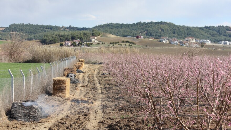Mart u varljivom izdanju: Proljeće mami, mraz prijeti!