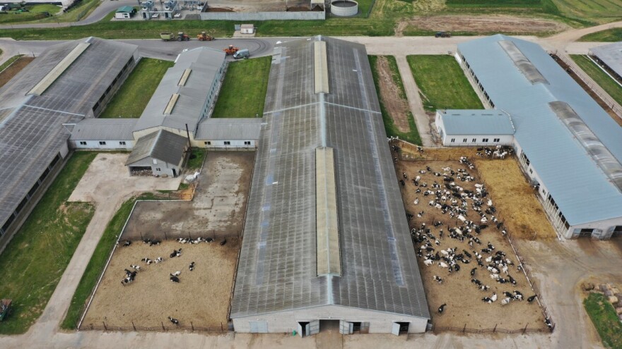 Pet najvećih farmi za uzgoj stoke na svijetu