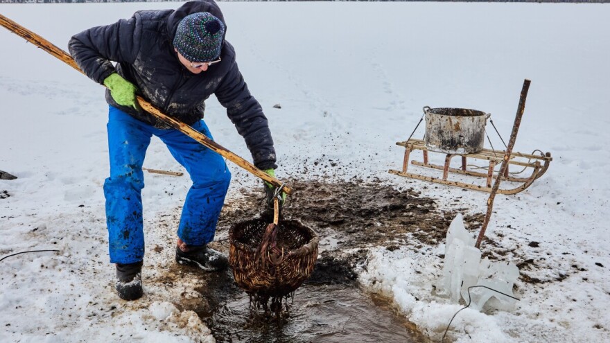 Veliki potencijal, mali učinak: Gdje je zapelo s organskom poljoprivredom u BiH?