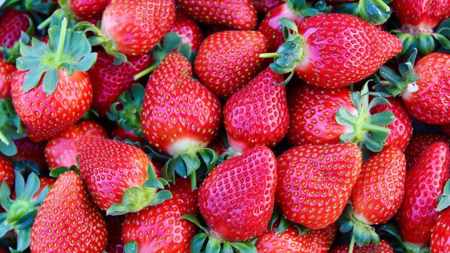 Važnije bolesti jagoda