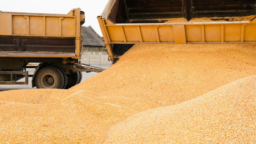 Rast cijena žitarica na burzama, najviše kukuruza