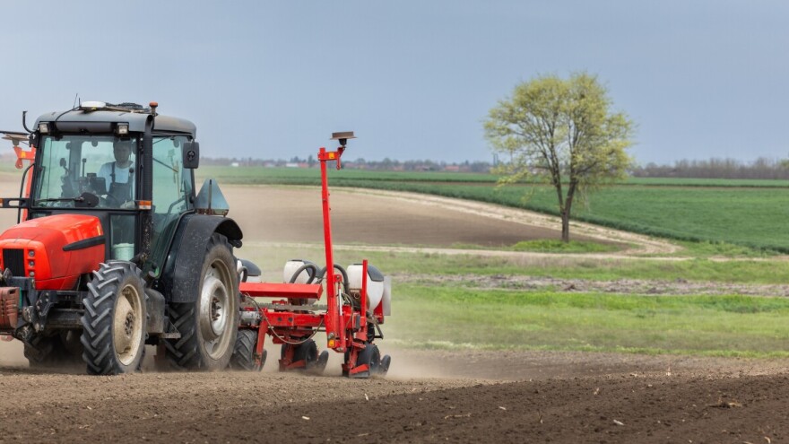 Skuplje nego lani: Sjetva kukuruza po hektaru košta oko 2.400 KM