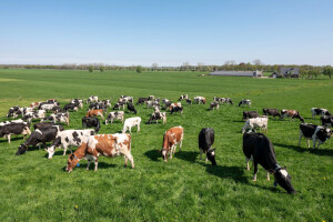 EU planira do 2040. smanjiti emisije stakleničkih plinova za 90 posto: Šta to znači za farmere?