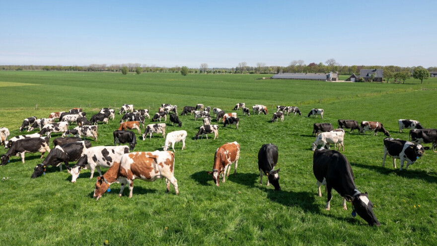 EU planira do 2040. smanjiti emisije stakleničkih plinova za 90 posto: Šta to znači za farmere?