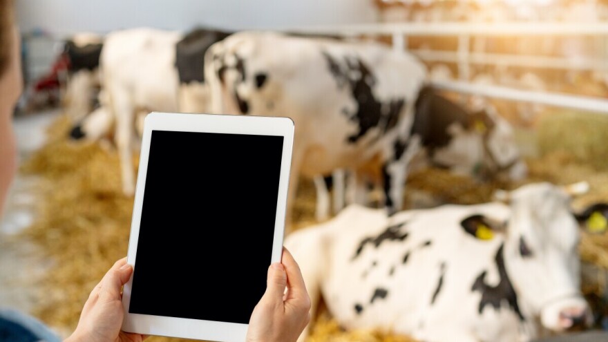 Jedan virus, jedna krava manje: Kako sajber napadi pogađaju poljoprivredu?