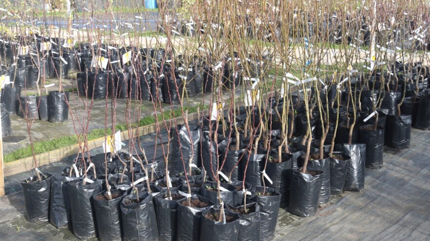 Podrška povratnicima za jesenju i proljetnu sadnju i sjetvu - prijavite se