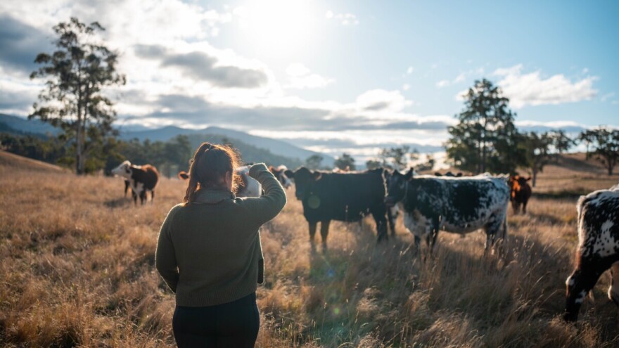Kako unaprijediti karijeru u seoskom turizmu?