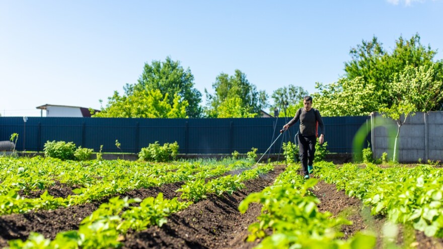 Agrometeorološki rendgen: Stabilno do kraja mjeseca, pripazite na krompirovu zlaticu