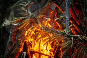Zašto se kaže: "U jednoj ruci slama, a u drugoj vatra"?