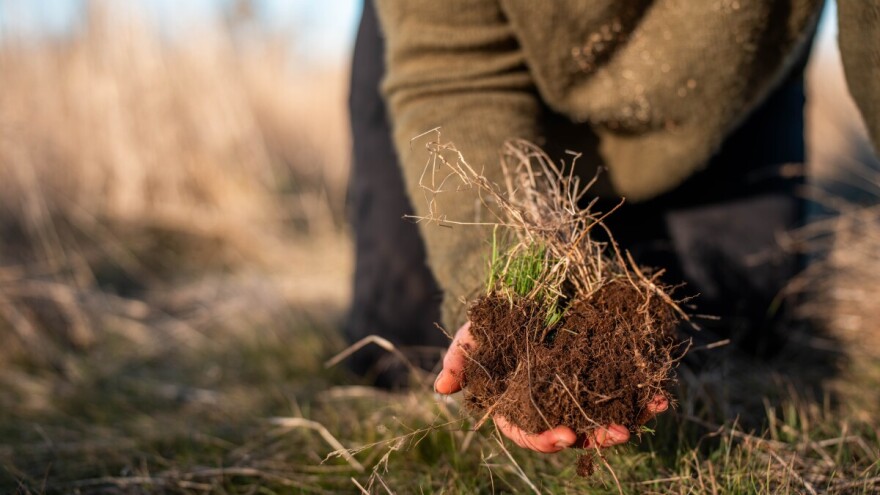 Živo zemljište - temelj prehrambene i nutritivne sigurnosti