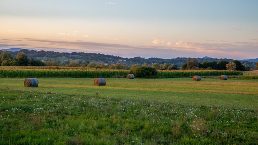 Zakinuti seljaci dobivaju kompenzacije: potpore i do 20.000 eura
