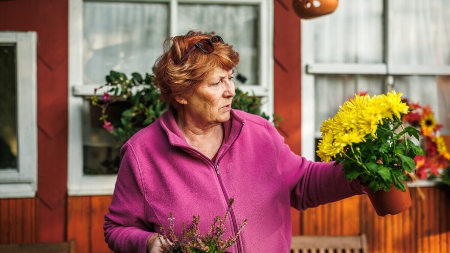 Koje cveće može da prezimi napolju, a koje ne?