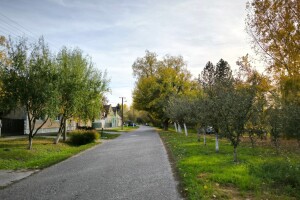 Useljeno 4.000 seoskih kuća za pet godina, najviše u Bačkom Petrovom Selu