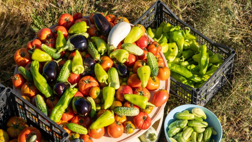 Ne bacajte povrće koje ne možete prodati: Kako ga iskoristiti?