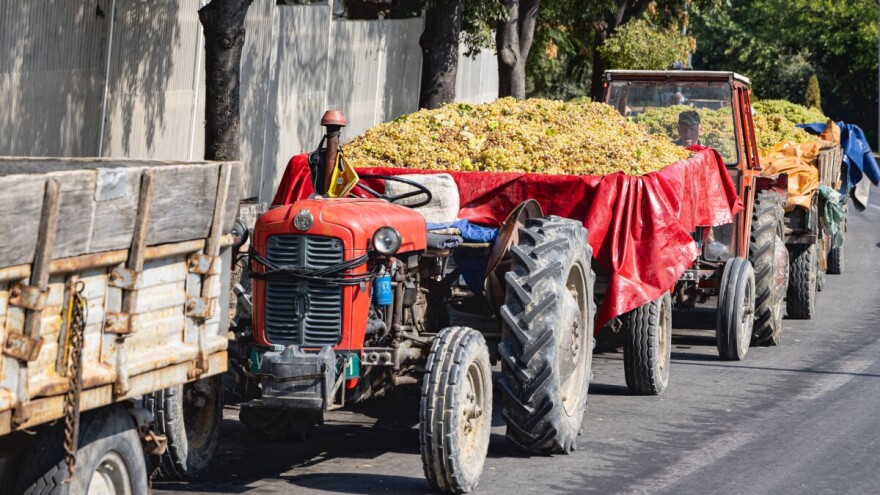 Traktor s prikolicom punom grožđa prevrnuo se niz brdo, vozač teško ozlijeđen